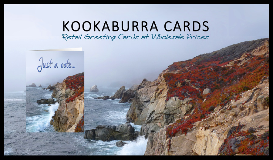 Kookaburra Cards
